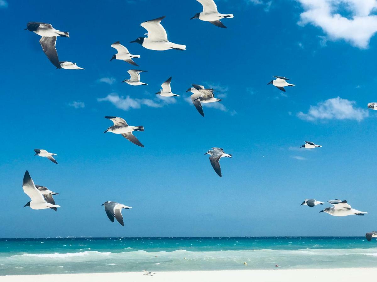 Villa Bella 3Br Wifi Bikes Beach Access (Adults Only) Playa del Carmen Bagian luar foto